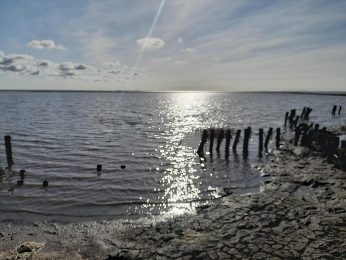 Hof Rickelsbuell - Nordseeurlaub Auf Dem Biobauernhof Rodenäs Exteriér fotografie